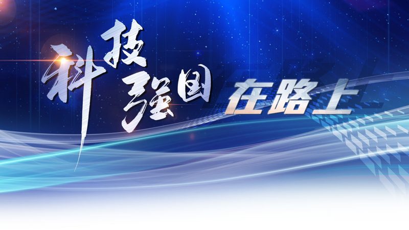 数据中台政府项目：注意事项与实施要点