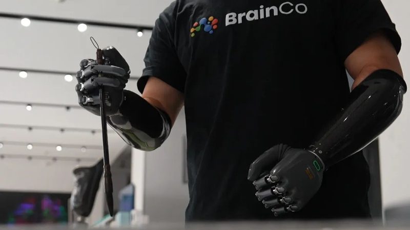 企业搜索引擎定制开发的五大关键考量