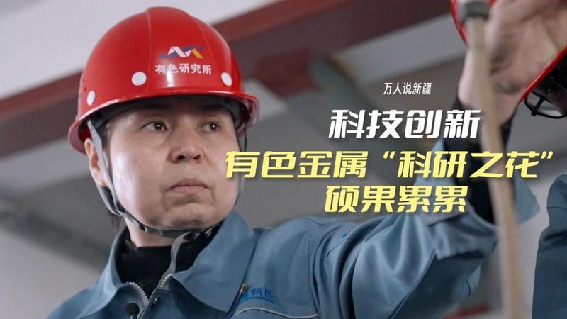 人工智能应用工具定制开发公司